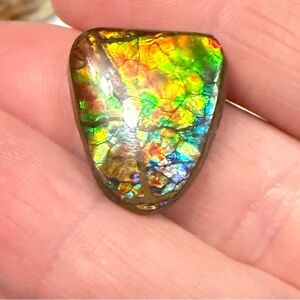 Gorgeous Ammolite Freeform Cabochon